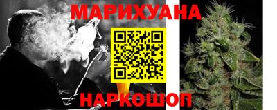 шишки Усть-Илимск