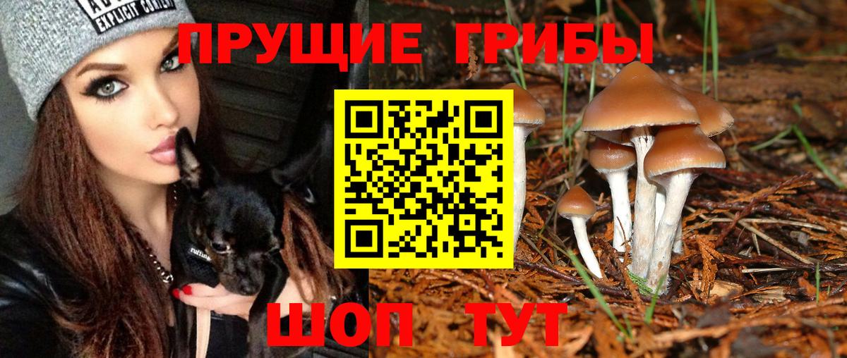 Псилоцибиновые грибы Magic Shrooms Рославль
